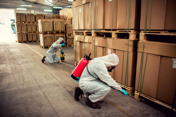 Best Pest Control Near Me  in Rio Dell, CA