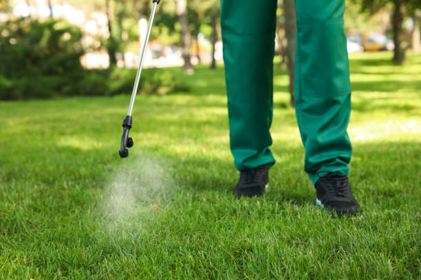 Trusted Rio Dell, CA Pest Control Experts