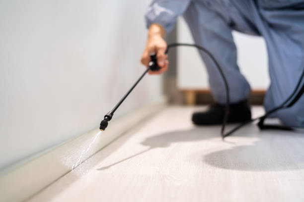 Best Mosquito Control Services  in Rio Dell, CA