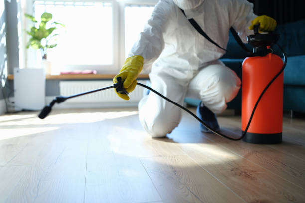 Best Pest Removal Services  in Rio Dell, CA