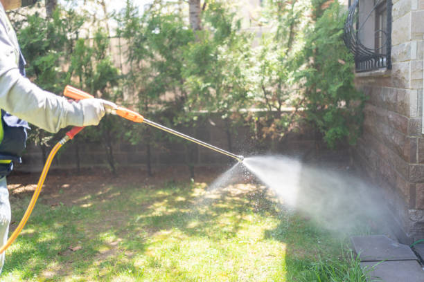 Best Flea Control Services  in Rio Dell, CA