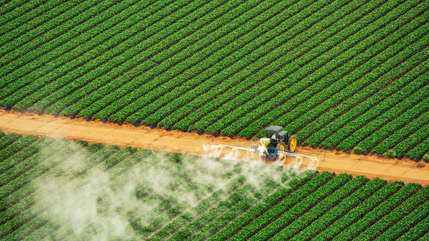 Best Ant Control Services  in Rio Dell, CA