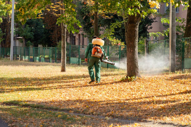 Best Commercial Pest Control Services  in Rio Dell, CA