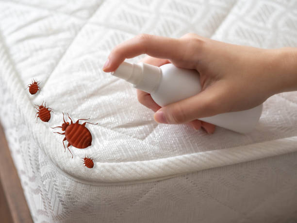 Best Best Pest Control Companies  in Rio Dell, CA
