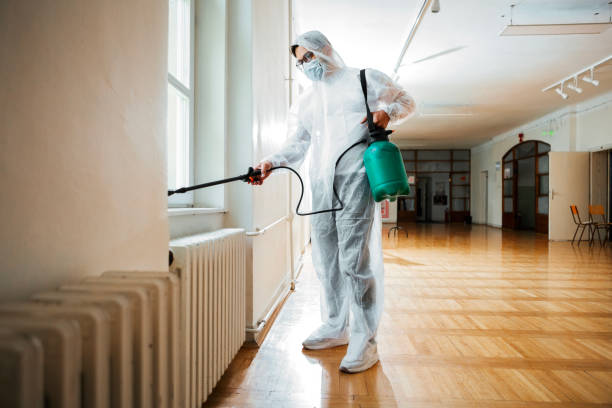 Best Rat Extermination Near Me  in Rio Dell, CA