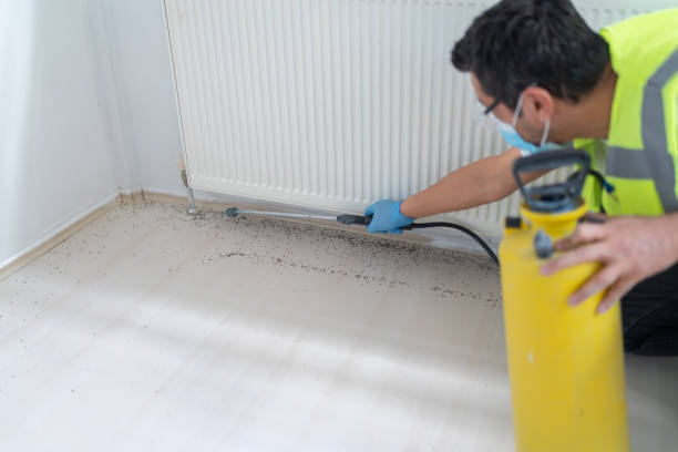 Best Affordable Pest Control Services  in Rio Dell, CA